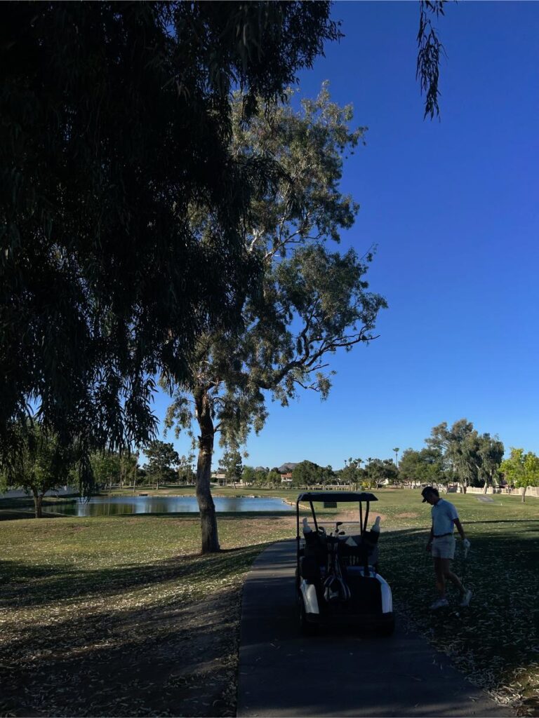car golf